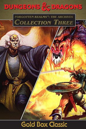 Forgotten Realms: The Archives - Collection Three Steam (PC) Key GLOBAL