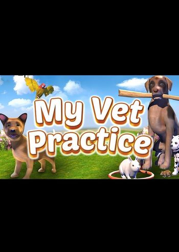 My Vet Practice (PC) Steam Key GLOBAL