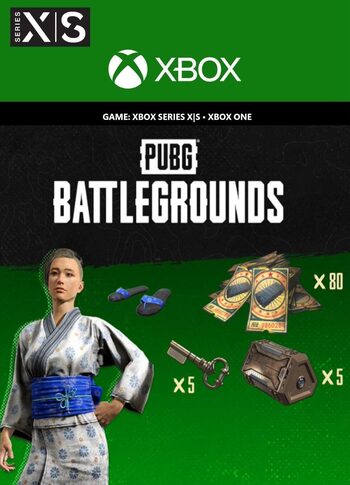 PlayerUnknown's Battlegrounds - 2023 Summer Pack (DLC) XBOX LIVE Key GLOBAL