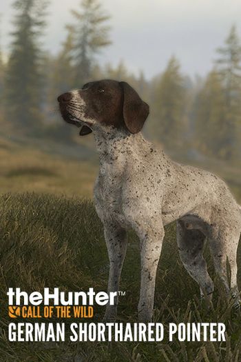theHunter: Call of the Wild™ - German Shorthaired Pointer (DLC) XBOX LIVE Key UNITED STATES