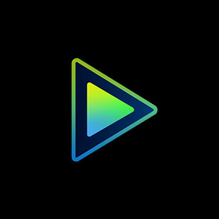 CyberLink Media Player 18 Standard - Microsoft key - South Africa