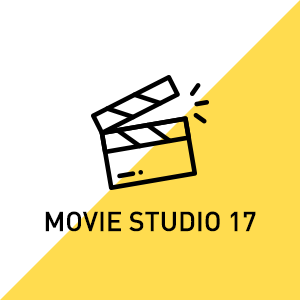 VEGAS Movie Studio 17 Windows Store Edition - Microsoft key - South Africa