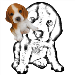 Photo2Sketch - Microsoft key - United States