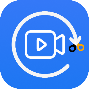 Any Video Converter-MP4 Converter - Microsoft key - Australia