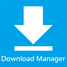 Instant Download Manager - Microsoft key - United States
