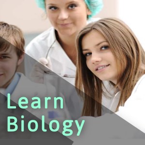 Learn Biology - Microsoft key - South Africa