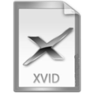 Xvid Converter - Microsoft key - Australia