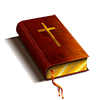 NIV Audio Bible - Microsoft key - United States