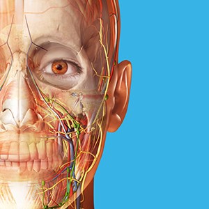Human Anatomy Atlas 2025: Complete 3D Human Body - Microsoft key - South Africa