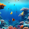 Virtual Coral Clownfish Tank - Microsoft key - United Kingdom