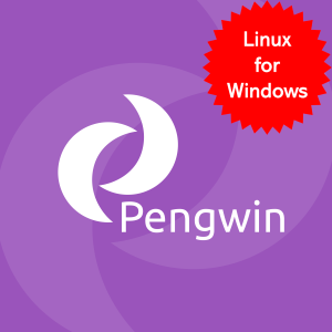 Pengwin - Microsoft key - United States
