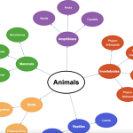 Mind Map+ - Microsoft key - Australia