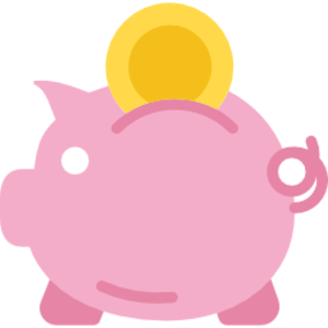 No Frills Checkbook - Microsoft key - United States