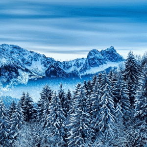 Winter Wallpapers HD - Microsoft key - Europe