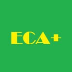 ECA Plus - Microsoft key - South Africa