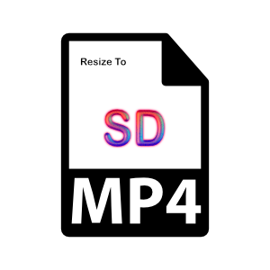 MP4 to SD - Microsoft key - United States