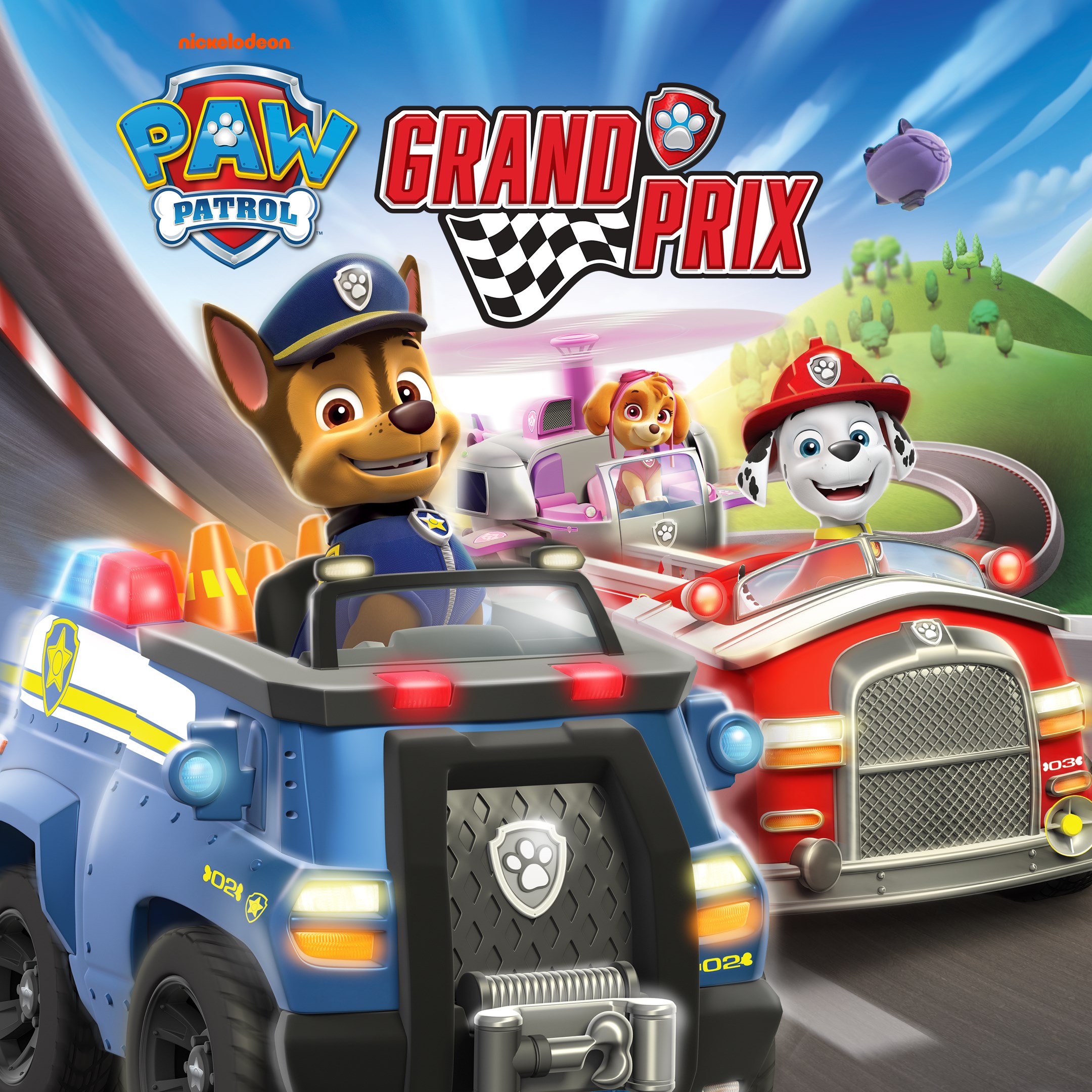 PAW Patrol: Grand Prix - Xbox live key - South Africa