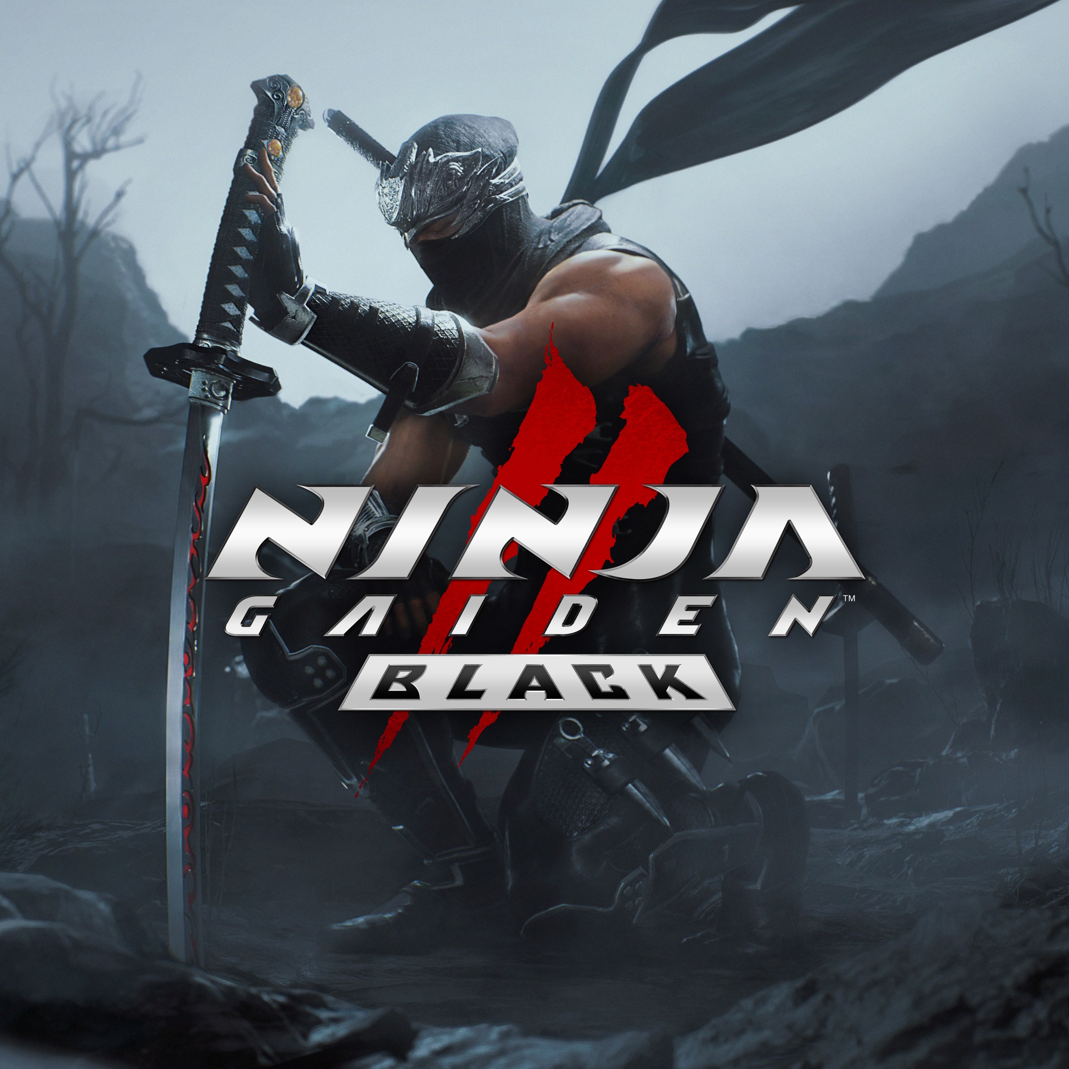 NINJA GAIDEN 2 Black - Xbox live key - South Africa