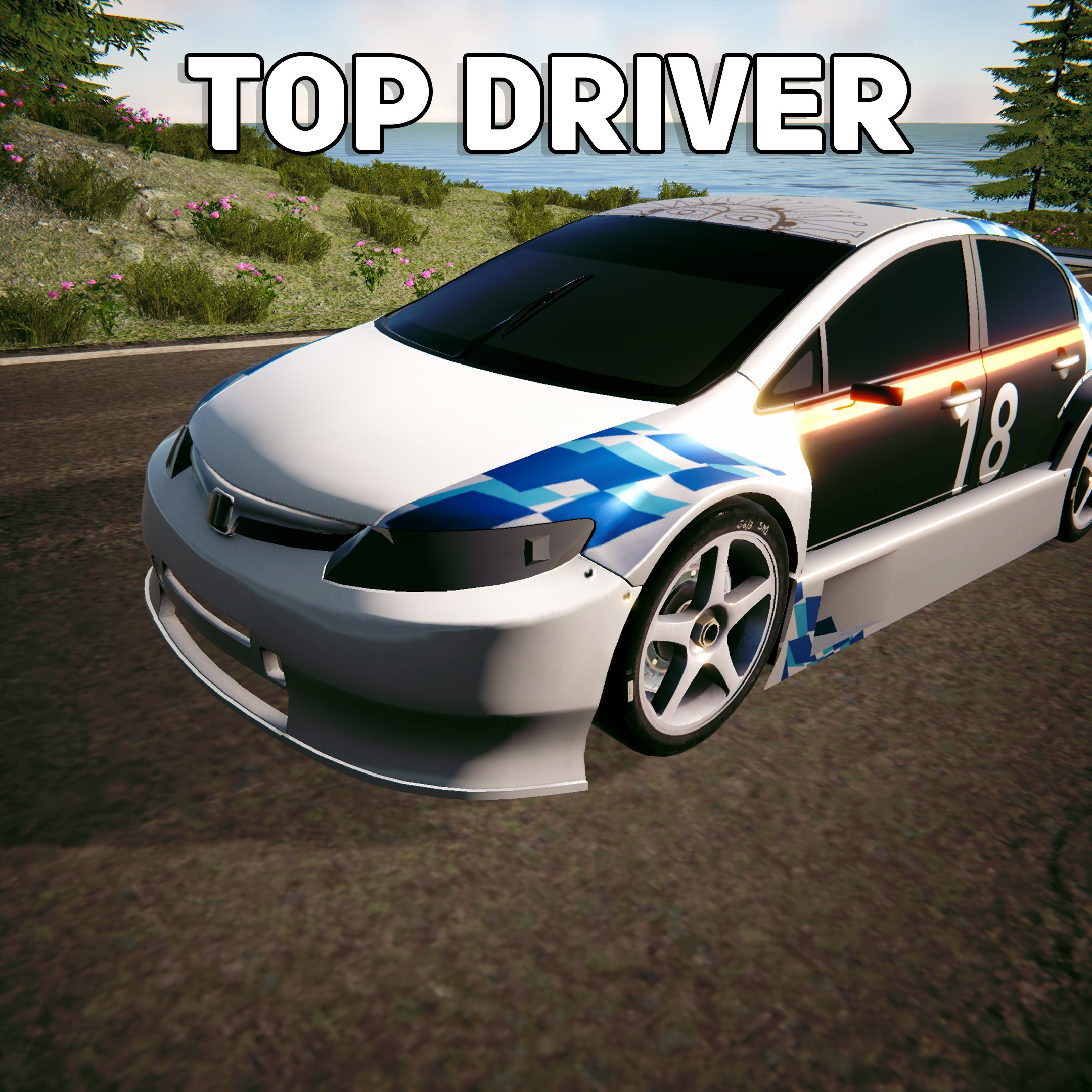 Top Driver - Xbox live key - United States