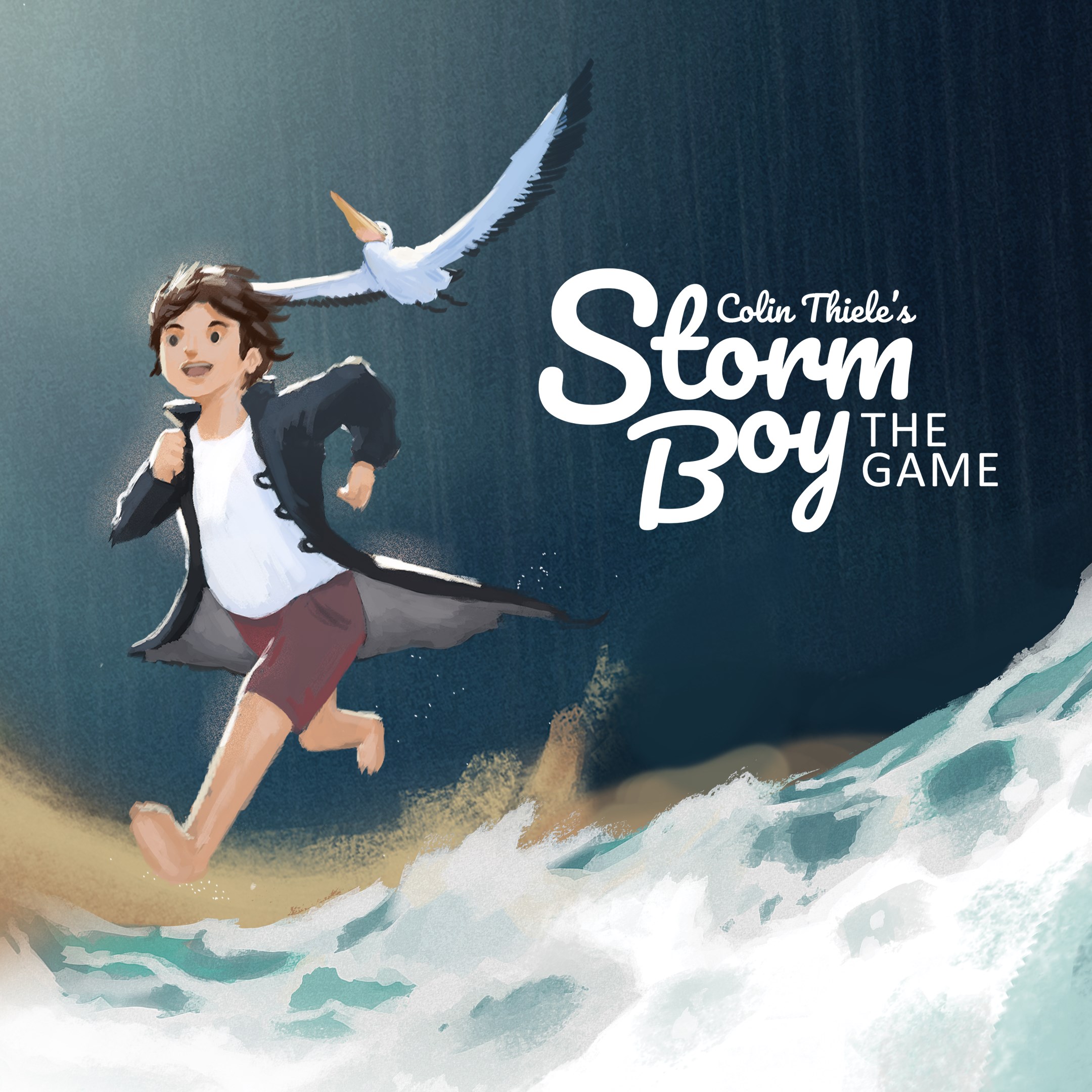 Storm Boy - Xbox live key - United Kingdom