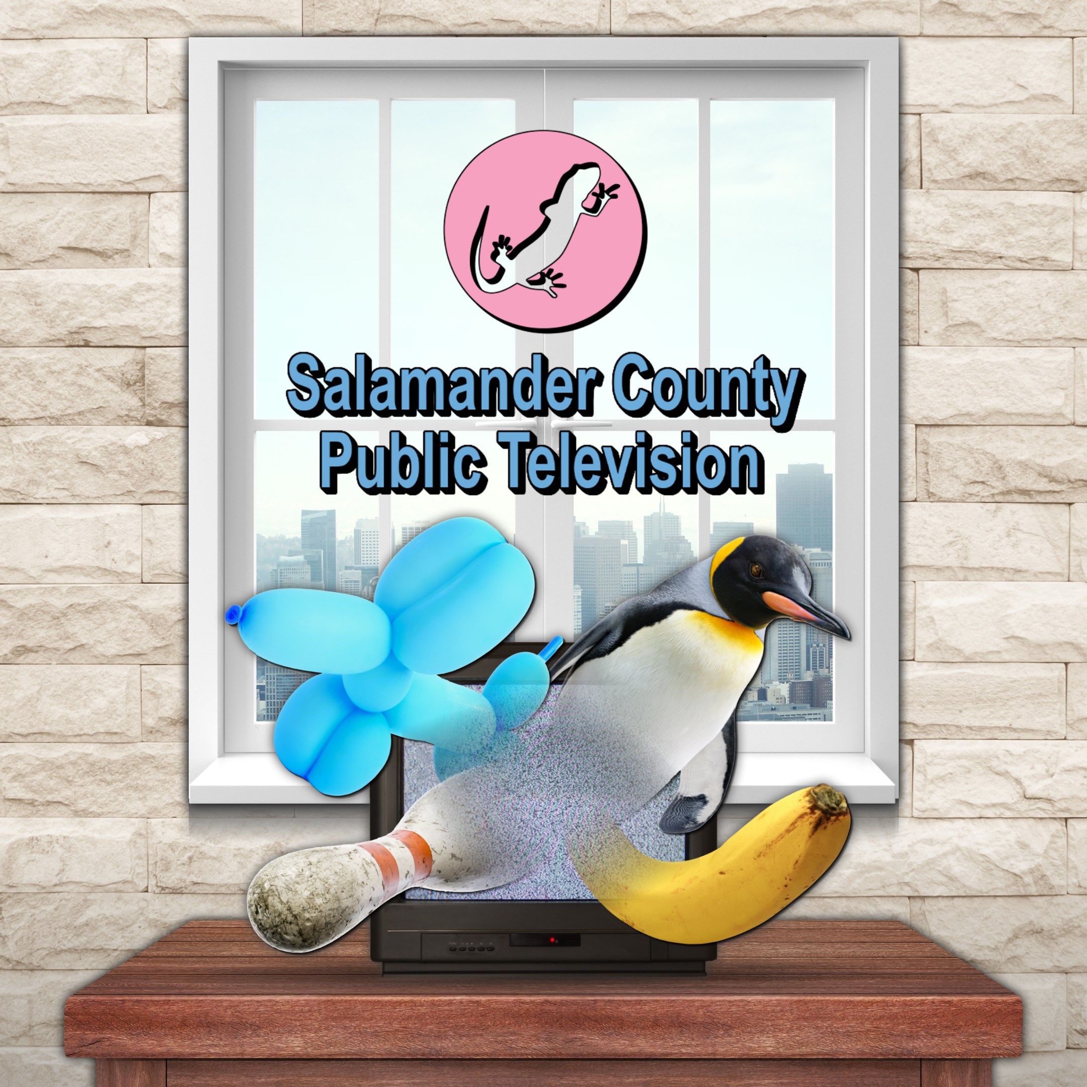 Salamander County Public Television - Xbox live key - United Kingdom