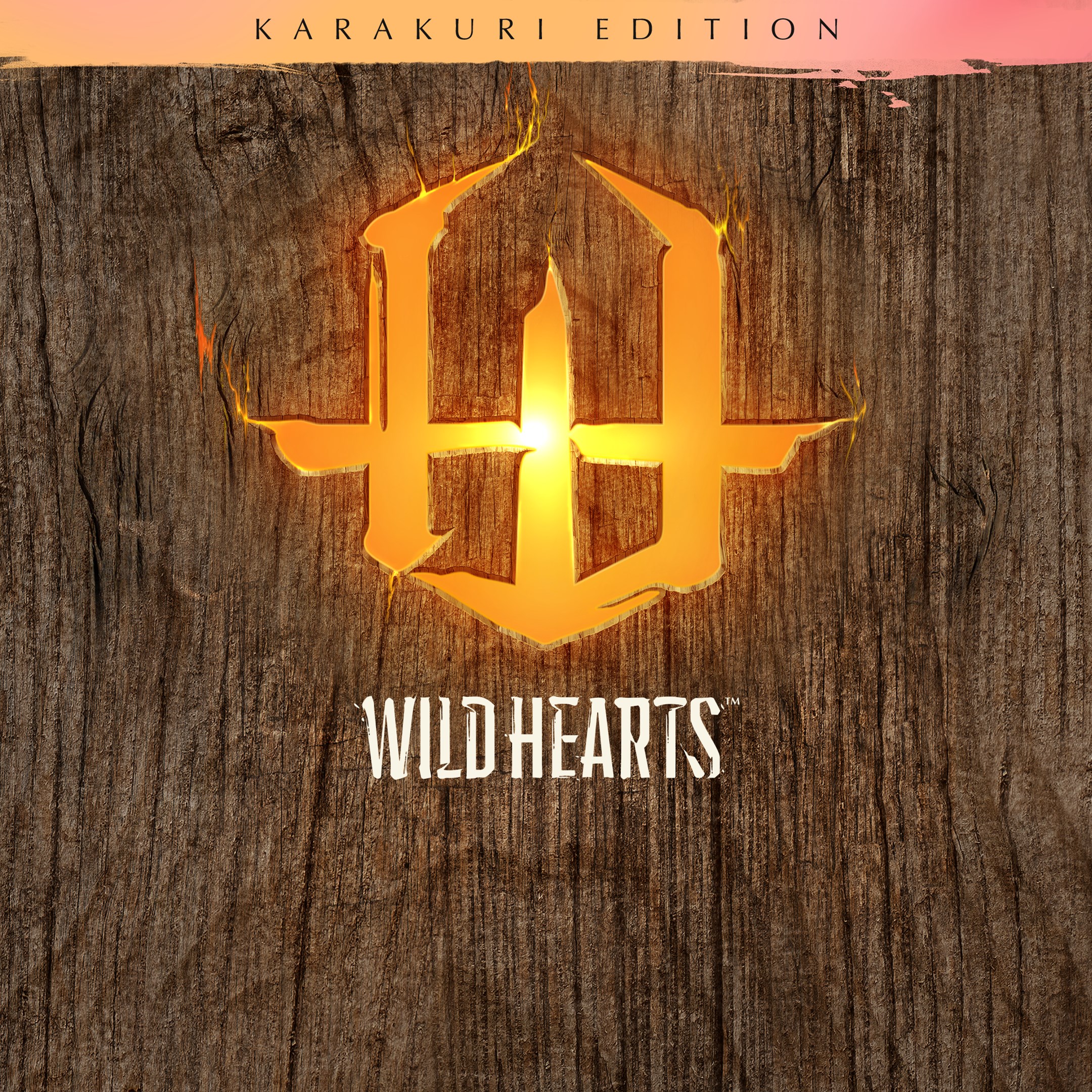 WILD HEARTS™ Karakuri Edition - Xbox live key - South Africa