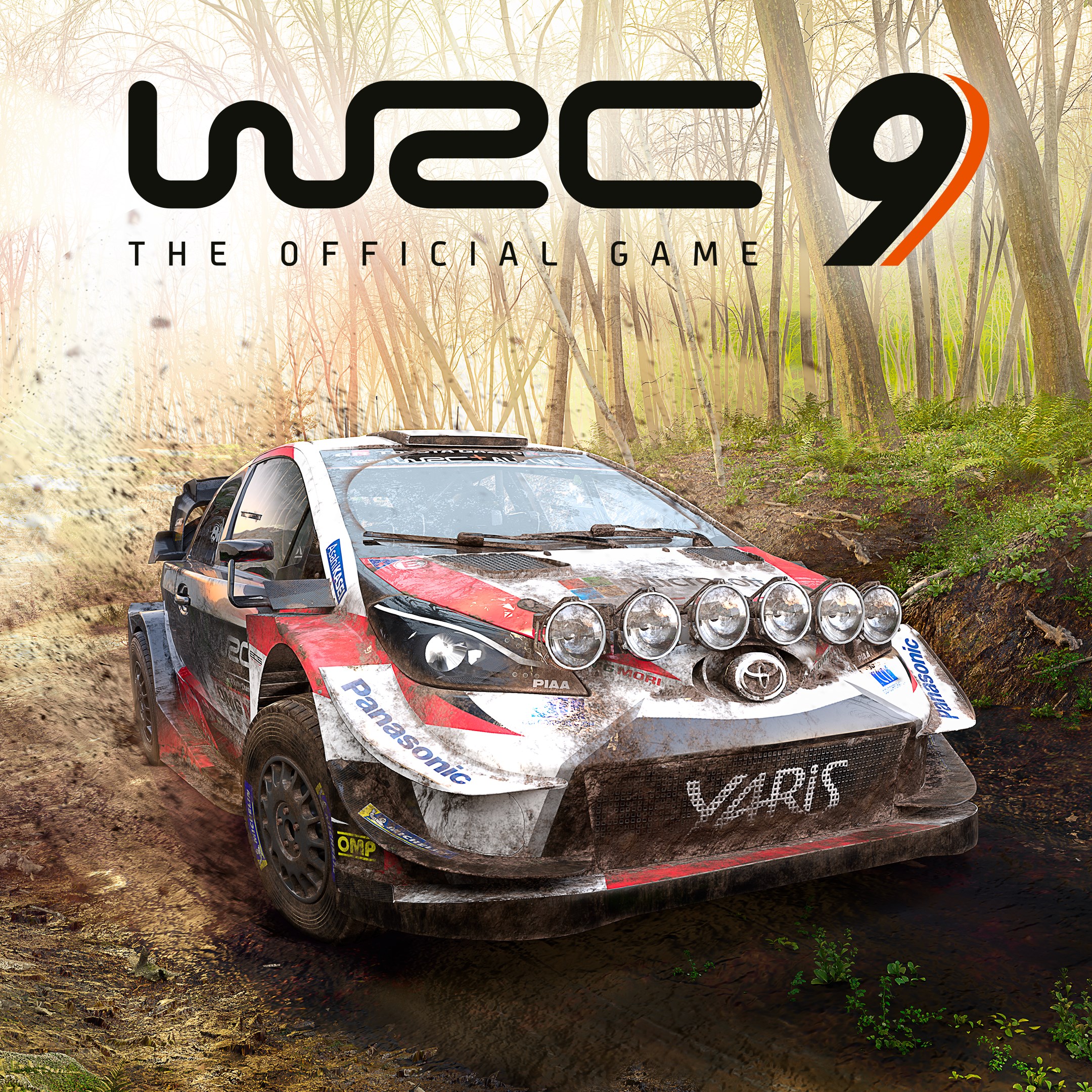 WRC 9 FIA World Rally Championship - Xbox live key - South Africa