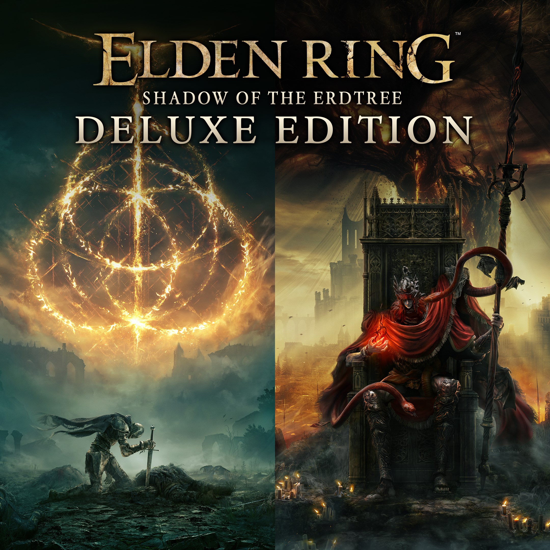 ELDEN RING Shadow of the Erdtree Deluxe Edition - Xbox live key - South Africa