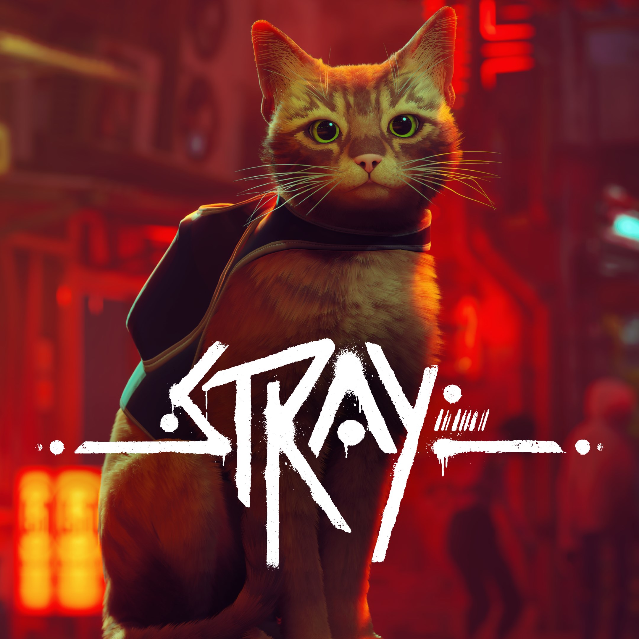 Stray - Xbox live key - United States