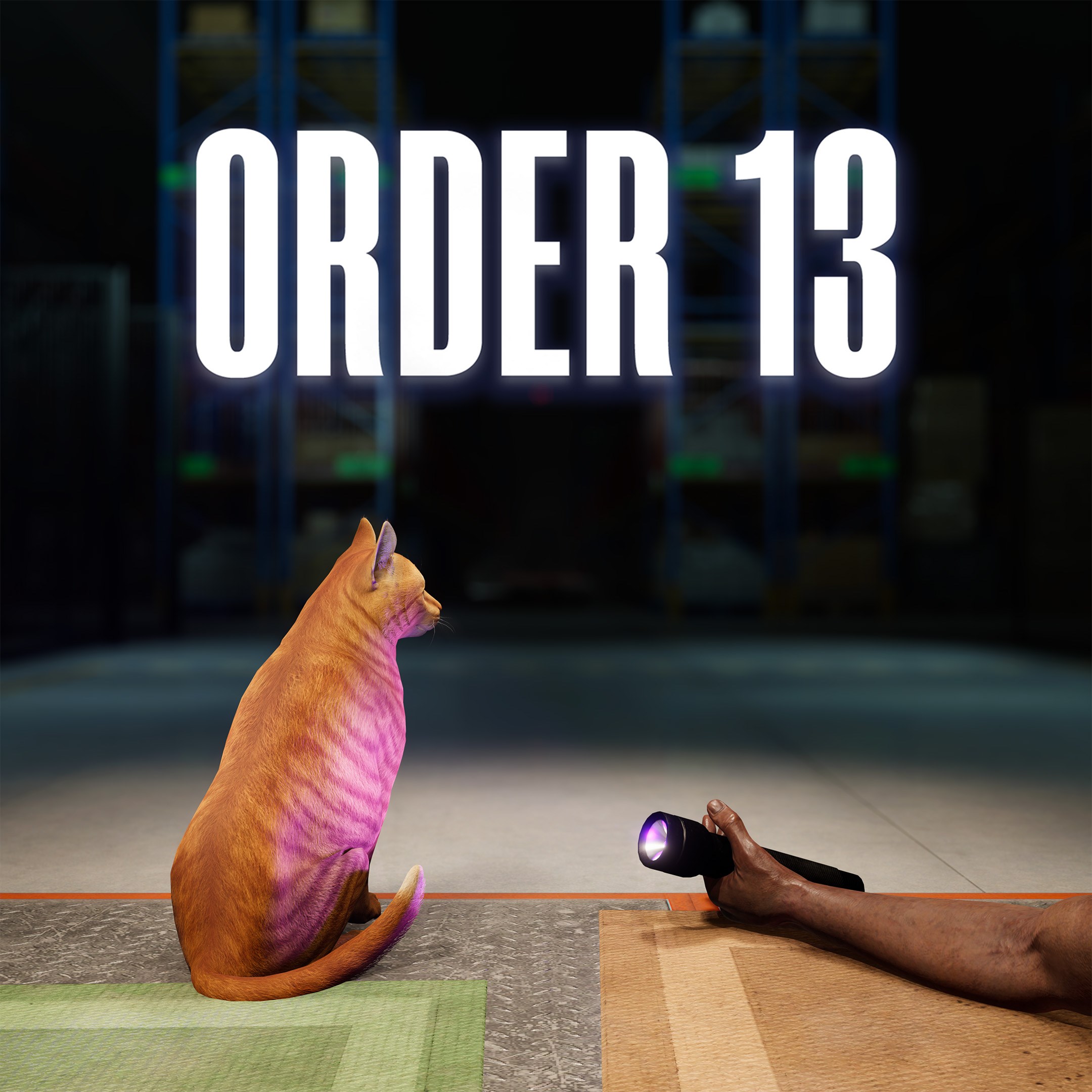 Order 13 - Xbox live key - United Kingdom