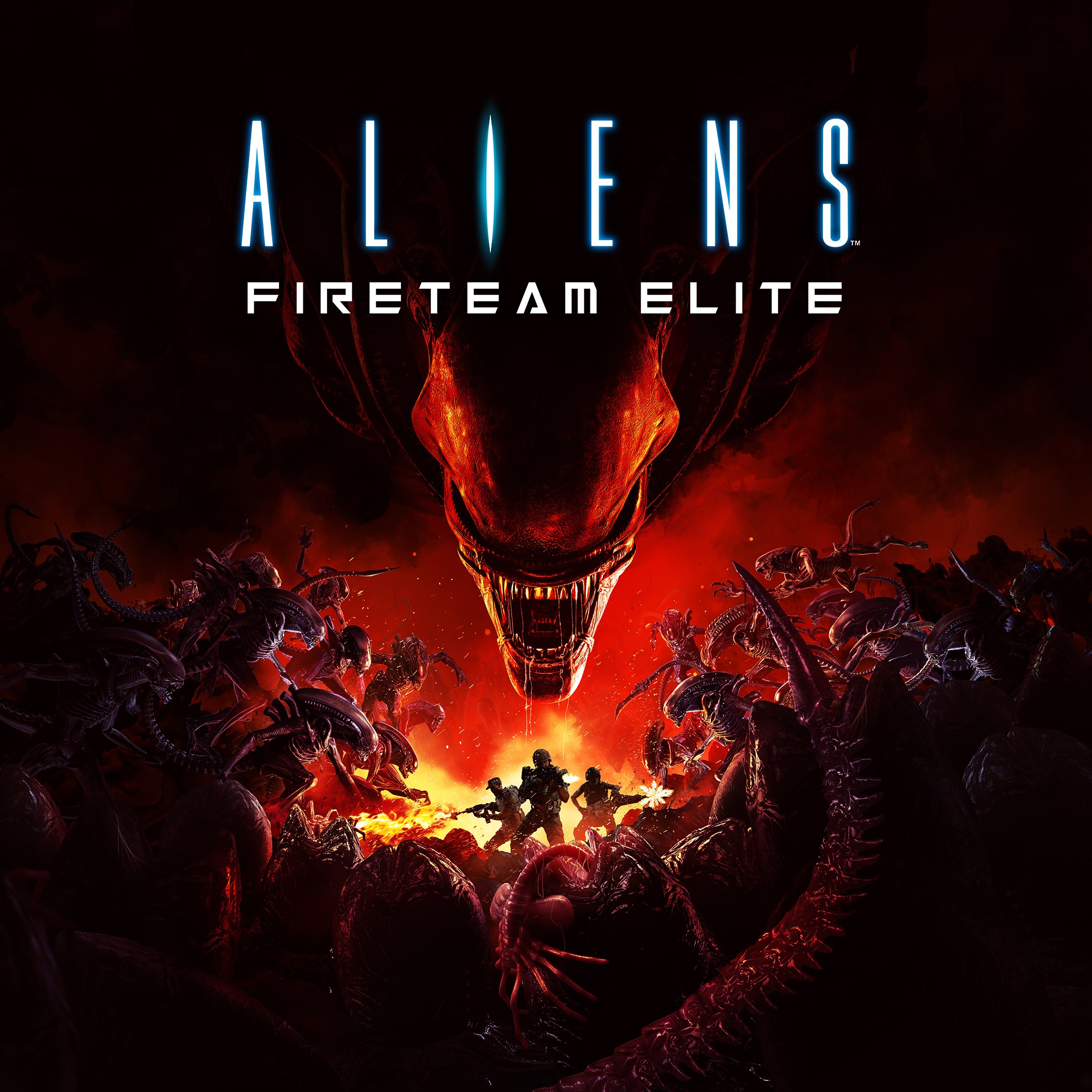 Aliens: Fireteam Elite - Xbox live key - United States