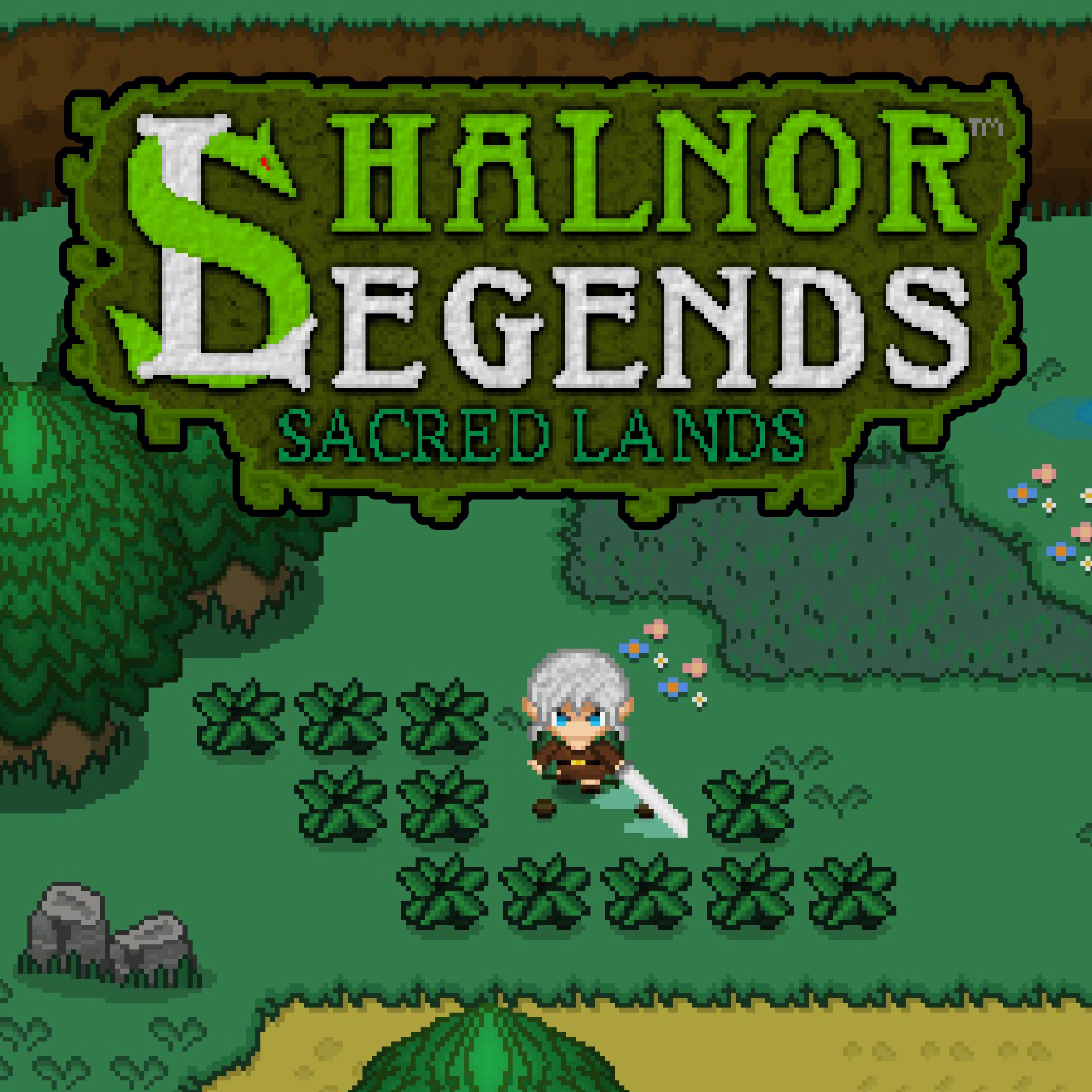 Shalnor Legends: Sacred Lands - Xbox live key - United Kingdom