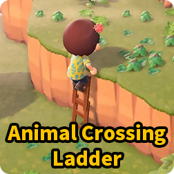 How to get Ladder in Animal Crossing Nintendo Switch