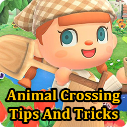 Animal Crossing: Things That Newbie Players Can\'t Do! Things To Pay Attention To in the Early Stage